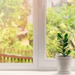 pulizia vetri consigli