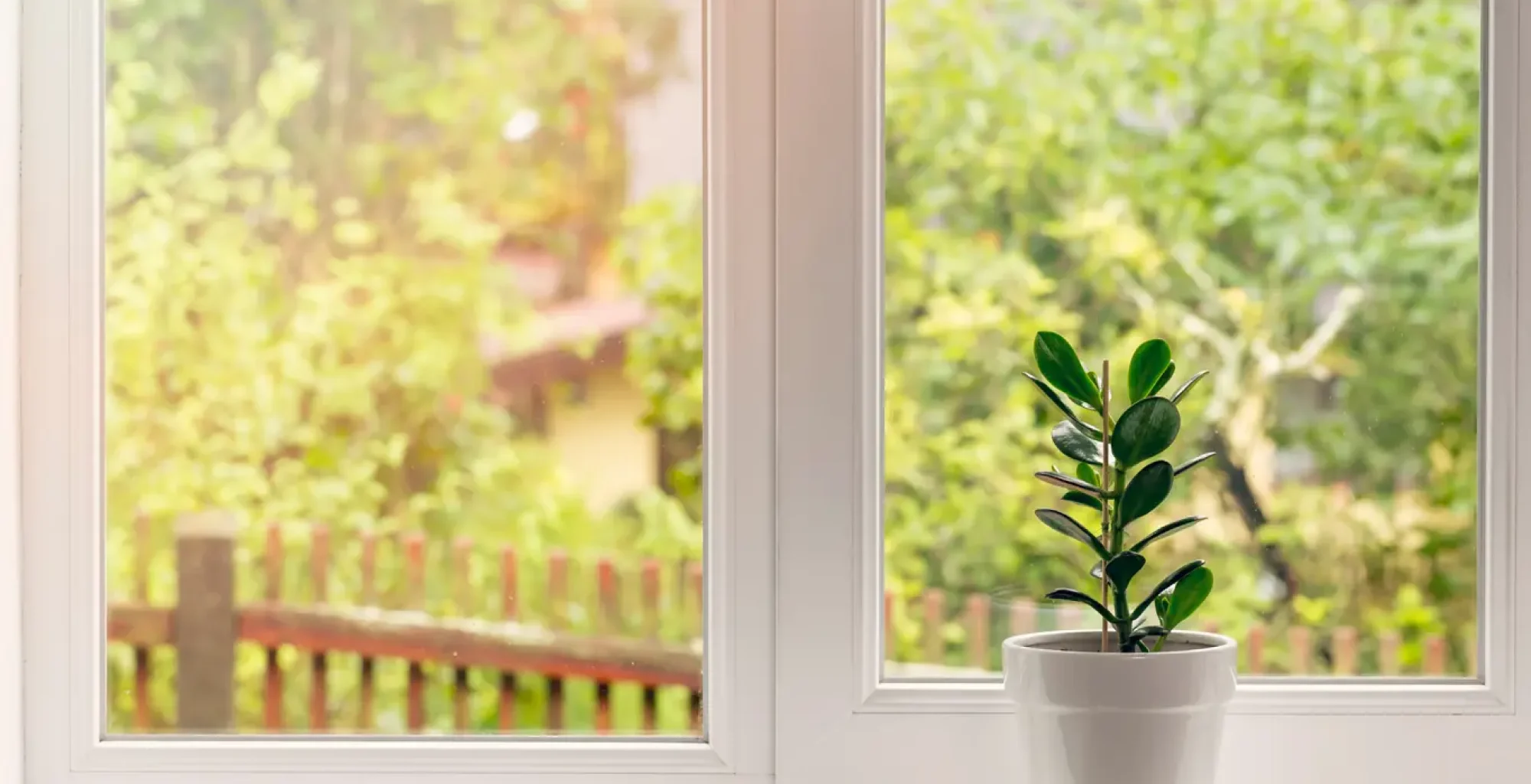 pulizia vetri consigli