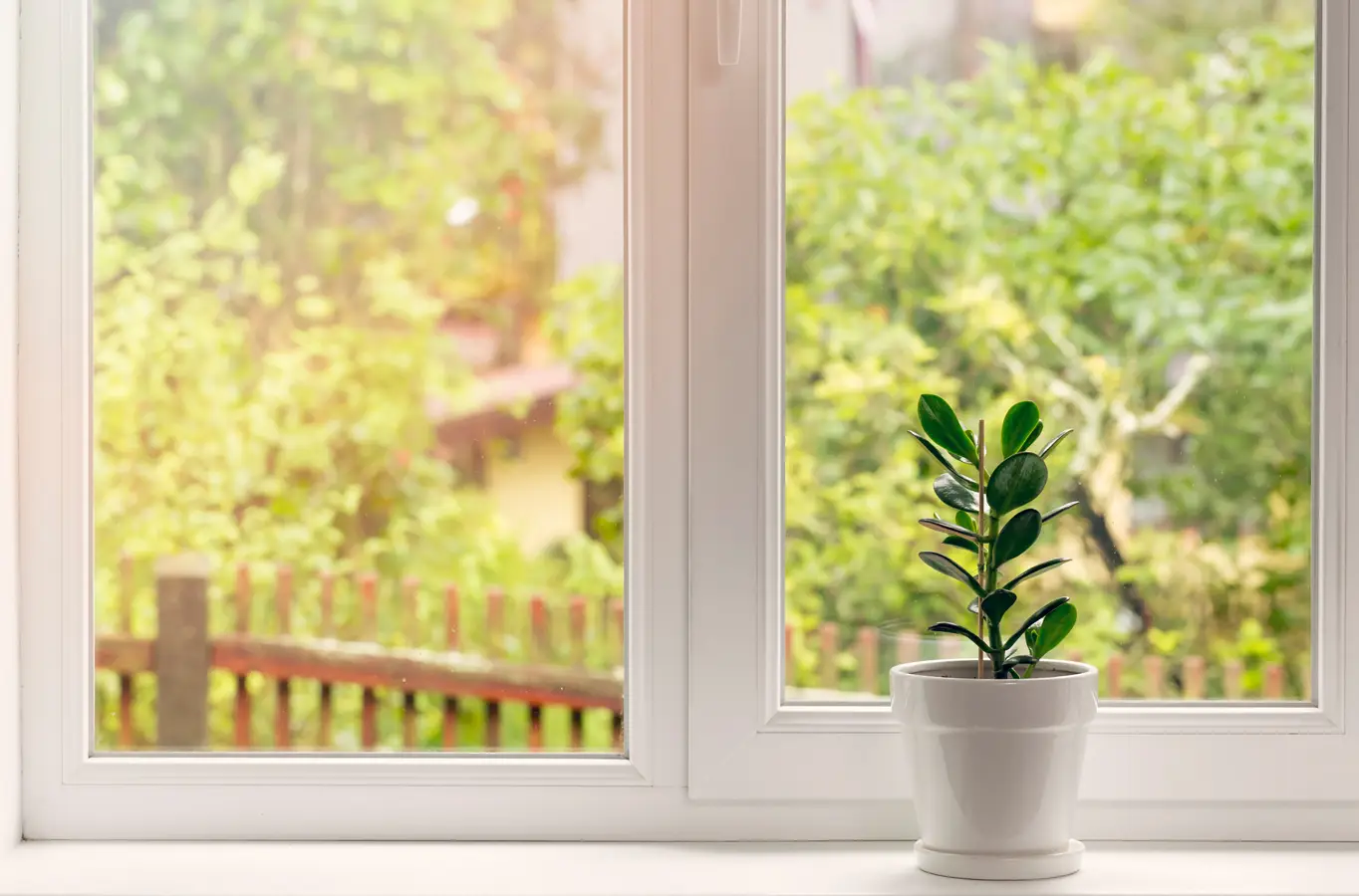 pulizia vetri consigli